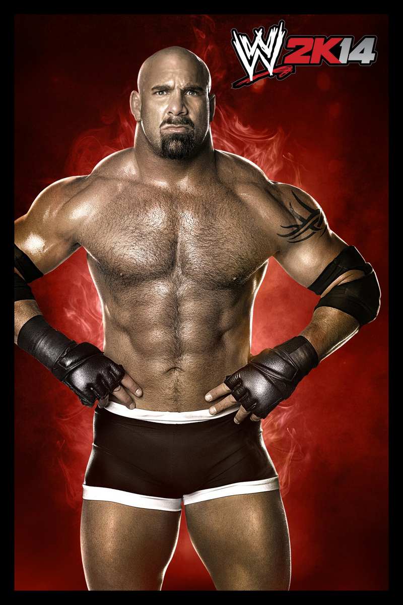 WWE 2K14 - Imagen 46